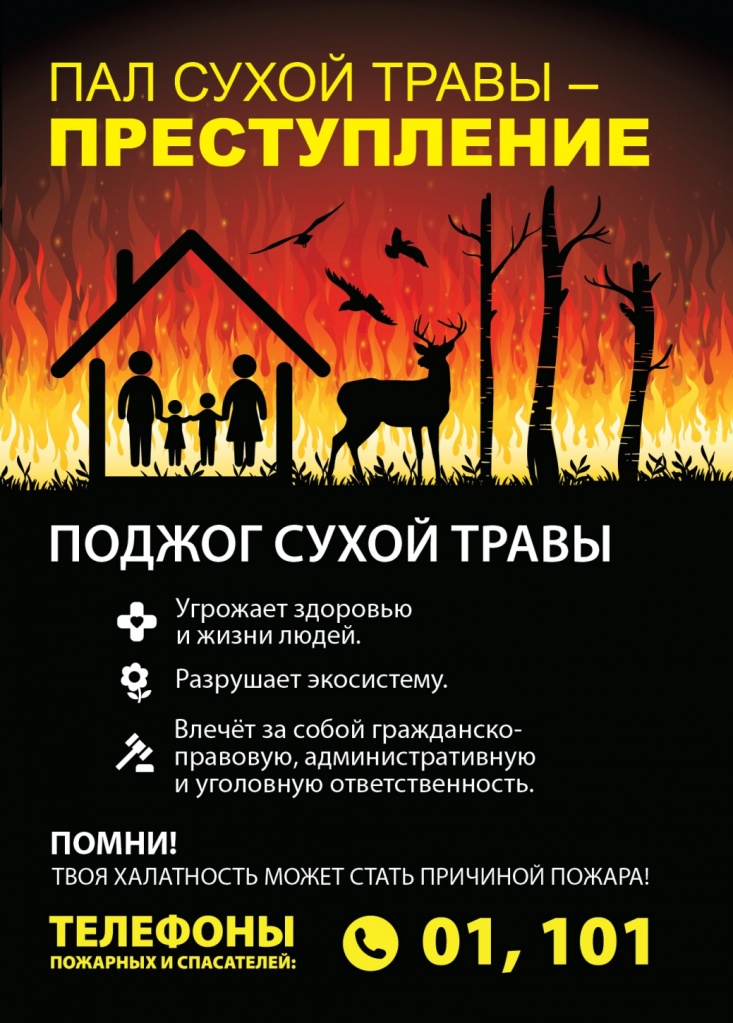 Изображения.